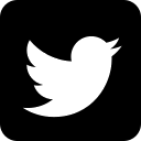 Logo Twitter